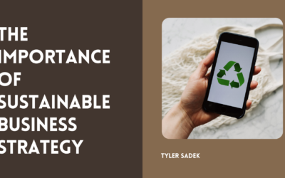 The Importance of Sustainable Business Strategy